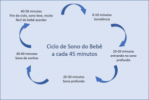 ciclos de sono